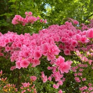 back to school sale!